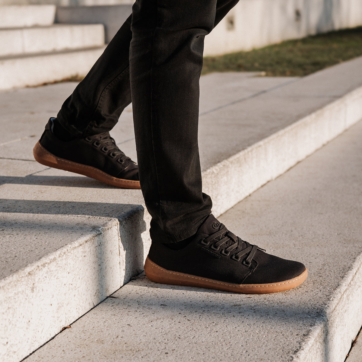 Wanderer True Black